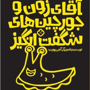 آقای زون و جورچین های شگفت‌انگیز